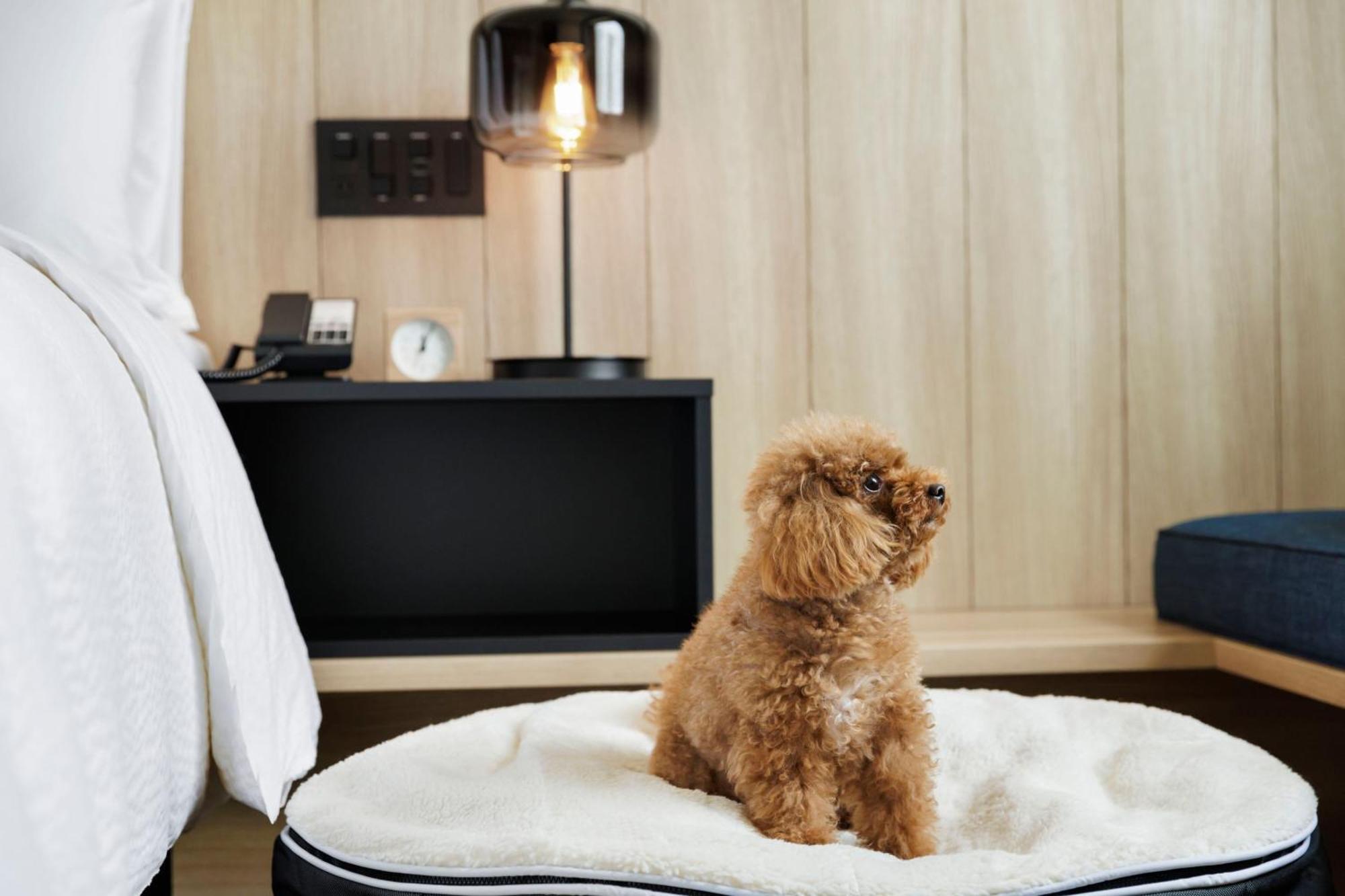 Fairfield By Marriott Gifu Seiryu Satoyama Park Hotel Minokamo Екстериор снимка